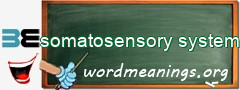 WordMeaning blackboard for somatosensory system